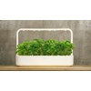 image:imageClick and Grow Curly Parsley Plant Pods for Smart Garden 9Pack