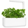 image:imageClick and Grow Curly Parsley Plant Pods for Smart Garden 9Pack