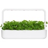 image:imageClick and Grow Curly Parsley Plant Pods for Smart Garden 9Pack