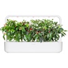 image:imageClick and Grow Smart Chili Pepper Plant Pod Mix 9Pack