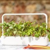 image:imageClick and Grow Smart Fruit and Veggie Plant Pod Mix 9Pack