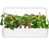 image:imageClick and Grow Smart Fruit and Veggie Plant Pod Mix 9Pack