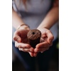 image:imageClick and Grow Smart Fruit and Veggie Plant Pod Mix 9Pack
