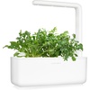 image:imageClick and Grow Smart Garden Arugula Plant Pods 9Pack