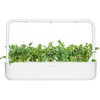image:imageClick and Grow Smart Garden Arugula Plant Pods 9Pack