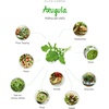 image:imageClick and Grow Smart Garden Arugula Plant Pods 9Pack