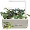 image:imageClick and Grow Smart Garden Asian Cuisine Plant Pod Mix 9Pack