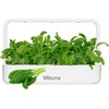 image:imageClick and Grow Smart Garden Asian Cuisine Plant Pod Mix 9Pack