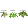 image:imageClick and Grow Smart Garden Asian Cuisine Plant Pod Mix 9Pack
