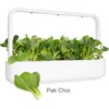 image:imageClick and Grow Smart Garden Asian Cuisine Plant Pod Mix 9Pack
