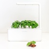 image:imageClick and Grow Smart Garden Basil Plant Pods 9Pack