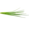 image:imageClick and Grow Smart Garden Chives Plant Pods 9Pack3pack
