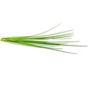 image:imageClick and Grow Smart Garden Chives Plant Pods 9Pack9pack