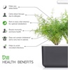 image:imageClick and Grow Smart Garden Dill Plant Pods 9Pack3pack