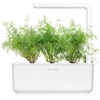 image:imageClick and Grow Smart Garden Dill Plant Pods 9Pack9pack