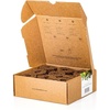 image:imageClick and Grow Smart Garden Dill Plant Pods 9Pack9pack