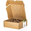 image:imageClick and Grow Smart Garden Green Lettuce Plant Pods 9Pack