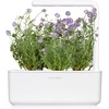 image:imageClick and Grow Smart Garden Lavender Plant Pods 9Pack