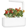 image:imageClick and Grow Smart Garden Mini Tomato Plant Pods 9Pack3pack