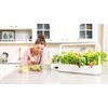 image:imageClick and Grow Smart Garden Mini Tomato Plant Pods 9Pack3pack
