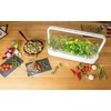 image:imageClick and Grow Smart Garden Mini Tomato Plant Pods 9Pack3pack