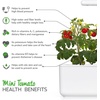 image:imageClick and Grow Smart Garden Mini Tomato Plant Pods 9Pack9pack