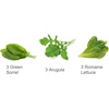 image:imageClick and Grow Smart Garden Salad Mix 9Pack