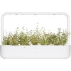 image:imageClick and Grow Smart Garden Thyme Plant Pods 9Pack3pack