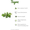image:imageClick and Grow Smart Garden Thyme Plant Pods 9Pack3pack