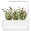 image:imageClick and Grow Smart Garden Thyme Plant Pods 9Pack9pack