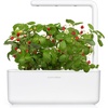 image:imageClick and Grow Smart Garden Wild Strawberry Plant Pods 9Pack3pack