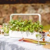image:imageClick and Grow Smart Garden Wild Strawberry Plant Pods 9Pack9pack