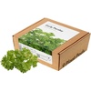 image:imageClick and Grow Curly Parsley Plant Pods for Smart Garden 9Pack