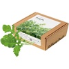 image:imageClick and Grow Smart Garden Arugula Plant Pods 9Pack