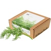 image:imageClick and Grow Smart Garden Dill Plant Pods 9Pack9pack