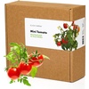 image:imageClick and Grow Smart Garden Mini Tomato Plant Pods 9Pack9pack