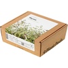 image:imageClick and Grow Smart Garden Thyme Plant Pods 9Pack9pack