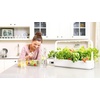 image:imageClick amp Grow Seedless Grow Anything Pods 3 Pack Experimental Plant Pods for Gardening Adventures