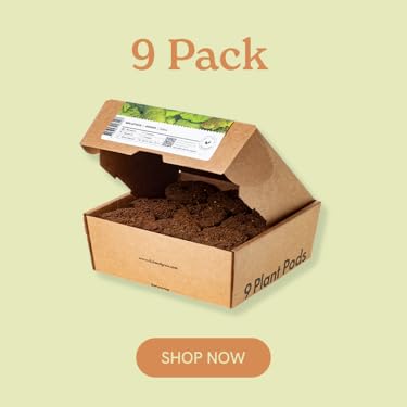 Click & Grow : Effortless Home Gardening