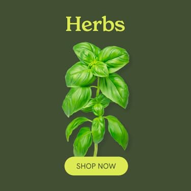 Click & Grow : Effortless Home Gardening