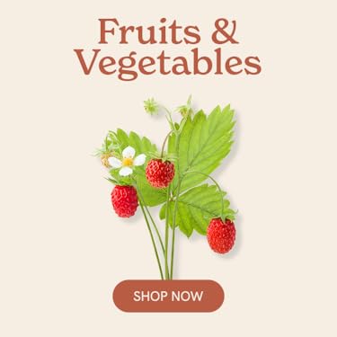 Click & Grow : Effortless Home Gardening