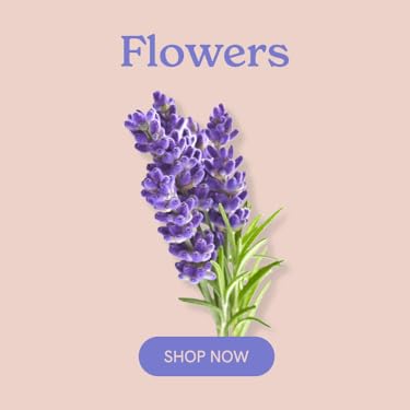 Click & Grow : Effortless Home Gardening
