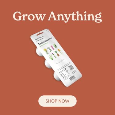 Click & Grow : Effortless Home Gardening