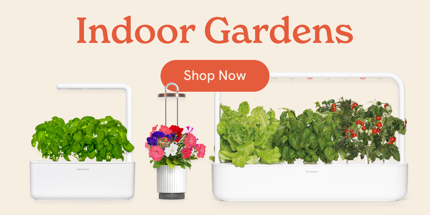 Click & Grow : Effortless Home Gardening