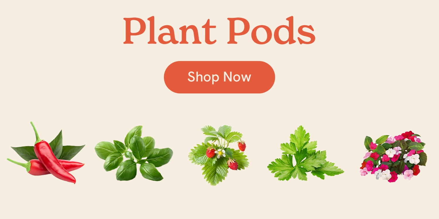 Click & Grow : Effortless Home Gardening