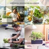 image:imageClick amp Grow Indoor Herb Garden Kit with Grow Light  Smart Garden for Home Kitchen Windowsill  Easier Than Hydroponics Growing System  Vegetable Gardening Starter 3 Basil Pods Included GreyGray