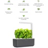 image:imageClick amp Grow Indoor Herb Garden Kit with Grow Light  Smart Garden for Home Kitchen Windowsill  Easier Than Hydroponics Growing System  Vegetable Gardening Starter 3 Basil Pods Included GreyGray