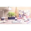 image:imageClick amp Grow Indoor Herb Garden Kit with Grow Light  Smart Garden for Home Kitchen Windowsill  Easier Than Hydroponics Growing System  Vegetable Gardening Starter 3 Basil Pods Included GreyGray