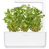 image:imageClick and Grow Smart Garden Oregano Plant Pods 3Pack3pack