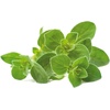 image:imageClick and Grow Smart Garden Oregano Plant Pods 3Pack3pack